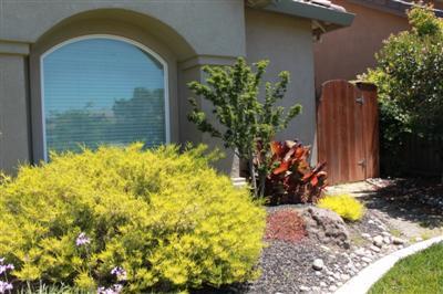 2552 Hoff Ln, Lodi, CA 95242 photo 4