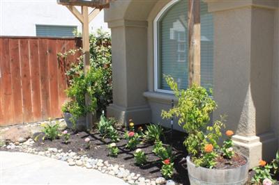 2552 Hoff Ln, Lodi, CA 95242 photo 2