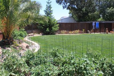 2552 Hoff Ln, Lodi, CA 95242 photo 13