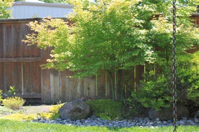 2552 Hoff Ln, Lodi, CA 95242 photo 15
