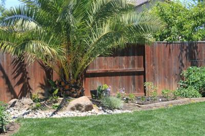2552 Hoff Ln, Lodi, CA 95242 photo 17