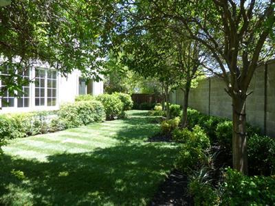 1956 Petunia Way, Tracy, CA 95376 photo 20