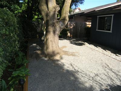 1845 Humboldt Ave, Davis, CA 95616 photo 17