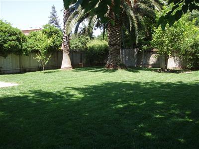 502 Schmeiser Ave, Davis, CA 95618 photo 6