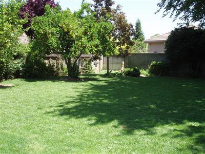 502 Schmeiser Ave, Davis, CA 95618 photo 9