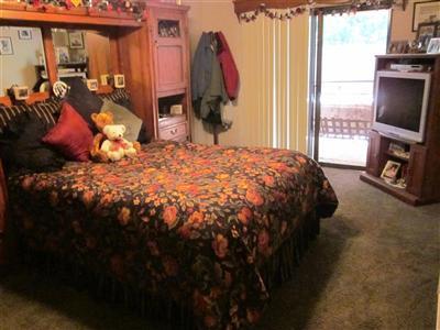 20660 Cedar View Dr, Foresthill, CA 95631 photo 10