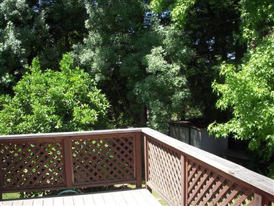 129 Windstar Cir, Folsom, CA 95630 photo 14