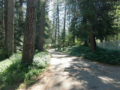 2948 Robindale Dr, Placerville, CA 95667 photo 6