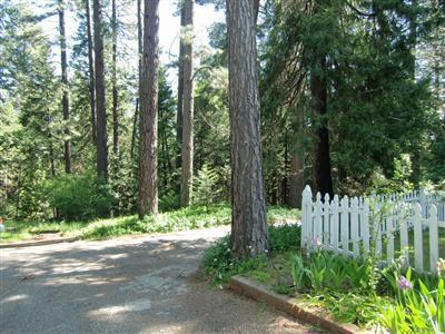 2948 Robindale Dr, Placerville, CA 95667 photo 5
