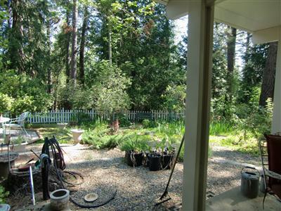 2948 Robindale Dr, Placerville, CA 95667 photo 12