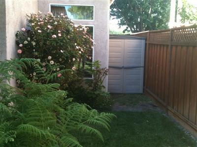 1004 Crater Ave, Modesto, CA 95351 photo 20