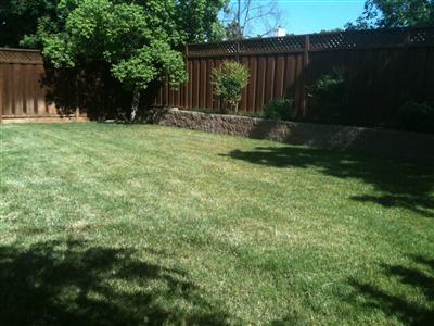 1004 Crater Ave, Modesto, CA 95351 photo 19