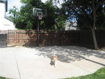 1740 Hastings Dr, Manteca, CA 95336 photo 15