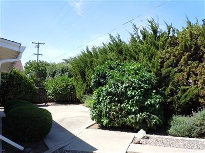 3609 Birch St, Modesto, CA 95356 photo 12