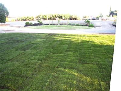 19277 E State Highway 120, Ripon, CA 95366 photo 3