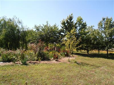 430 Elverta Rd, Elverta, CA 95626 photo 3