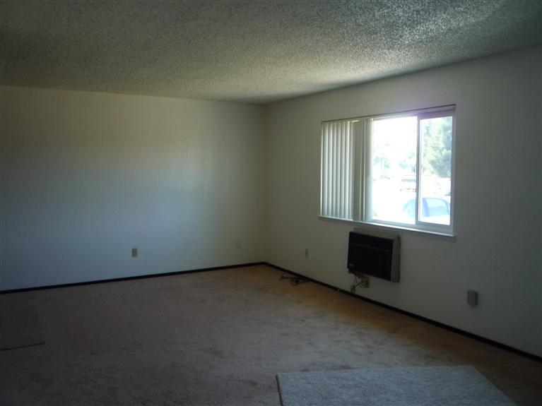 2929 5th St, Hughson, CA 95326 photo 3