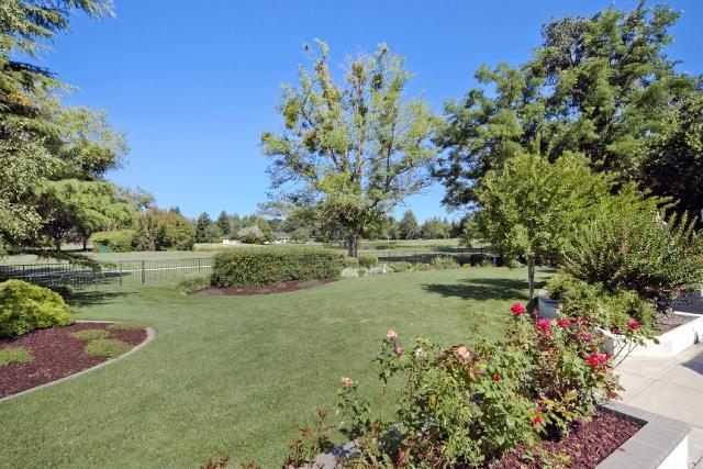 27260 El Macero Dr, Davis, CA 95618 photo 23