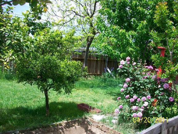 3141 Erie Ave, Merced, CA 95340 photo 4