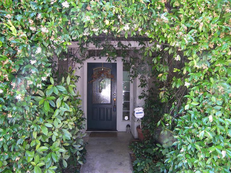 3617 Fallen Oak Dr, Modesto, CA 95355 photo 3