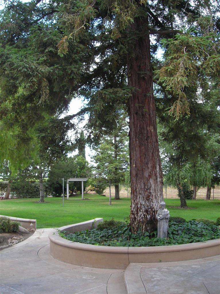 7000 E Harney Ln, Lodi, CA 95240 photo 24