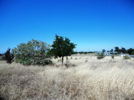 17655 Daley, Madera, CA 93638 photo 4