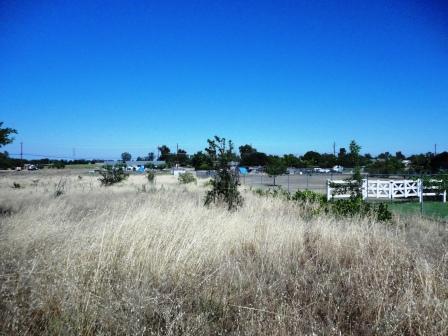 17655 Daley, Madera, CA 93638 photo 5