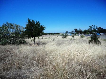 17655 Daley, Madera, CA 93638 photo 3