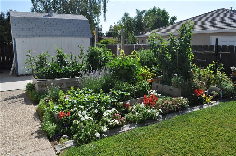 1821 Smith Dr, Turlock, CA 95382 photo 21