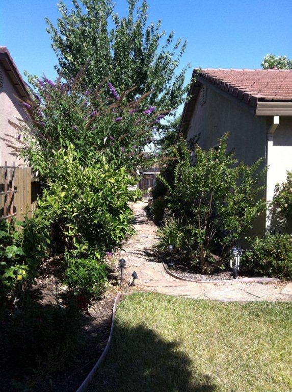 4401 Pinckney Way, Mather, CA 95655 photo 17