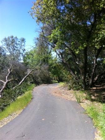1489 Cedar Oak Rd, Placerville, CA 95667 photo 7