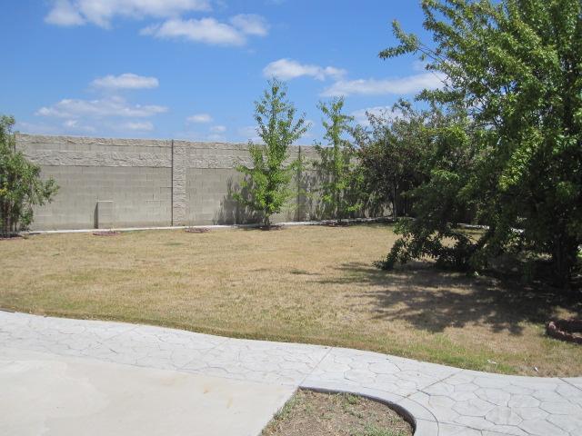 13298 Cedarbrook Way, Lathrop, CA 95330 photo 9
