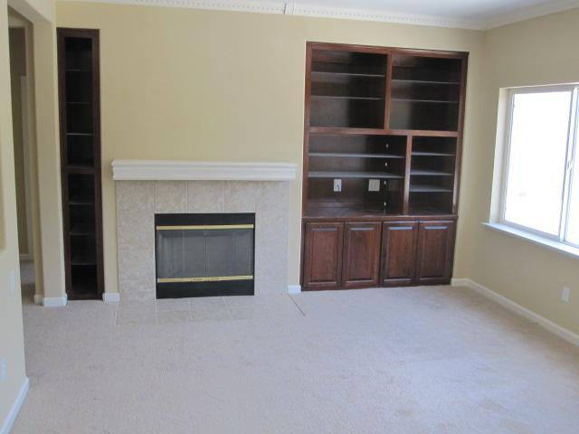 13298 Cedarbrook Way, Lathrop, CA 95330 photo 4