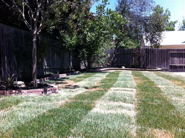 110 Barrows Way, Folsom, CA 95630 photo 8