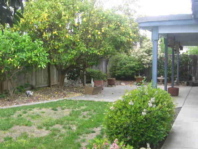 3409 Sash Ct, Modesto, CA 95356 photo 3