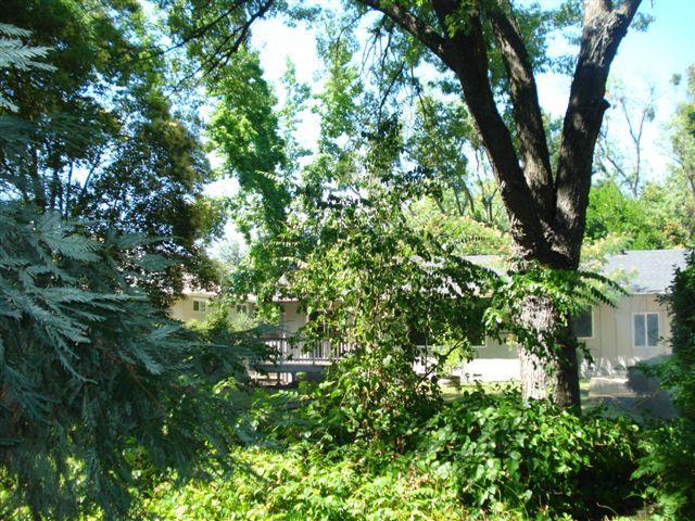 6012 Van Alstine Ave, Carmichael, CA 95608 photo 2