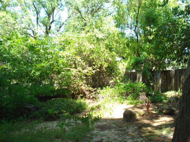6012 Van Alstine Ave, Carmichael, CA 95608 photo 4