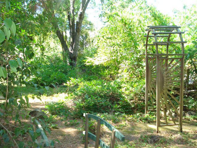 6012 Van Alstine Ave, Carmichael, CA 95608 photo 3