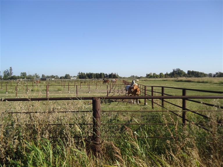 5212 Milnes Rd, Modesto, CA 95357 photo 1