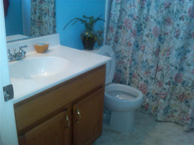 225 Gaar Ct, Lathrop, CA 95330 photo 5
