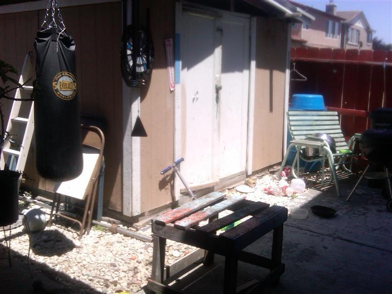 225 Gaar Ct, Lathrop, CA 95330 photo 10