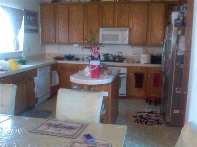 225 Gaar Ct, Lathrop, CA 95330 photo 9
