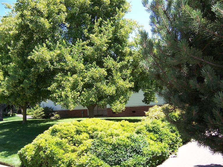 4750 Chancery Way, Carmichael, CA 95608 photo 1