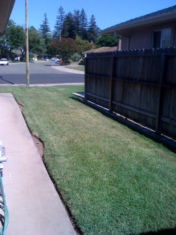 401 N Crescent Ave, Lodi, CA 95240 photo 14