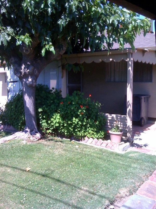 401 N Crescent Ave, Lodi, CA 95240 photo 5