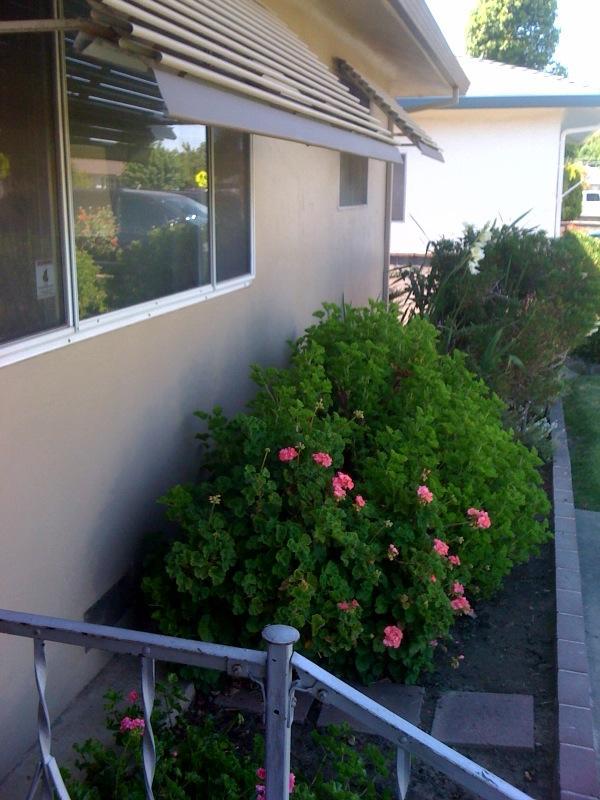 401 N Crescent Ave, Lodi, CA 95240 photo 2