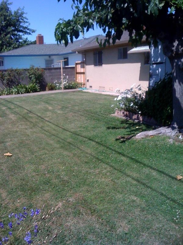 401 N Crescent Ave, Lodi, CA 95240 photo 4