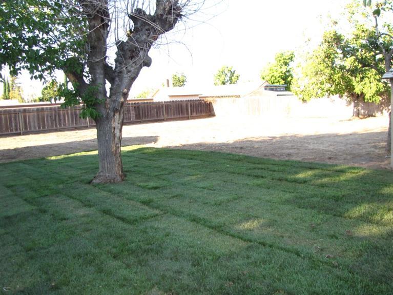 652 Acacia Ave, Manteca, CA 95336 photo 12