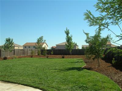 4336 Grafton Cir, Mather, CA 95655 photo 5