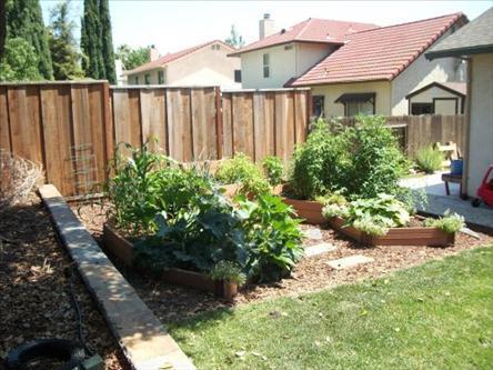 131 Renown Dr, Tracy, CA 95376 photo 14